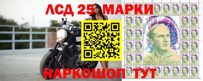 ALPHA PVP Беслан