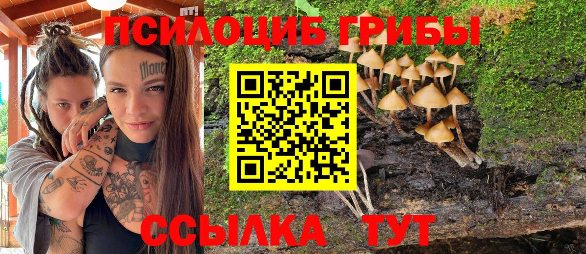 Галлюциногенные грибы Magic Shrooms  Вход с VPN  Изобильный 